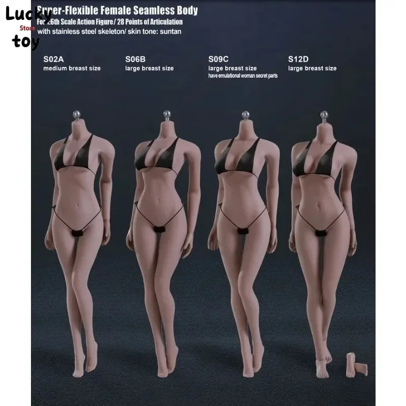 1/6 TBL Seamless Female Body S01A S04B S07C S10D Pale/Suntan for 12'' Figure"